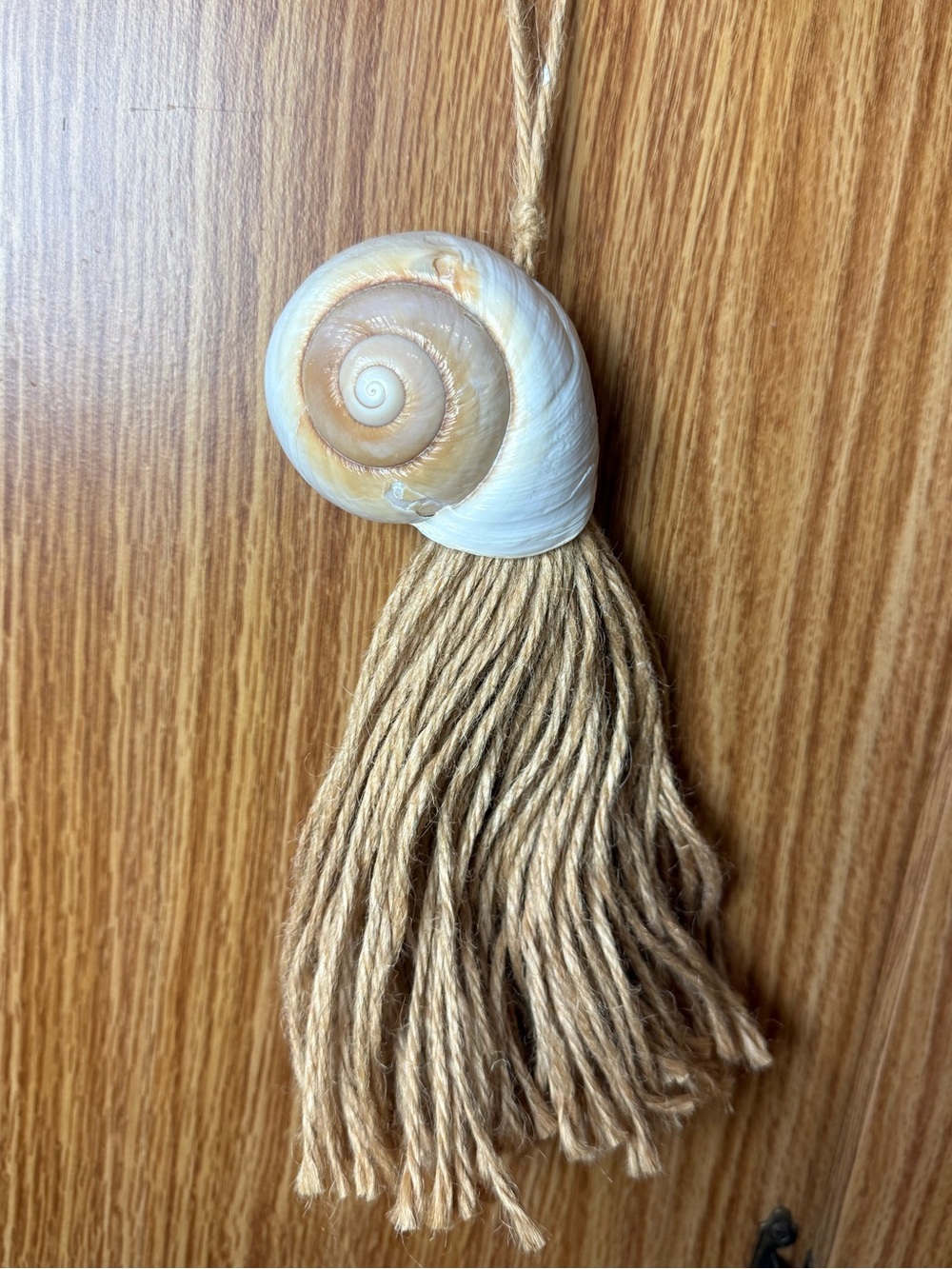 A natural Turbo shell attached to a thick,beige jute tassel .